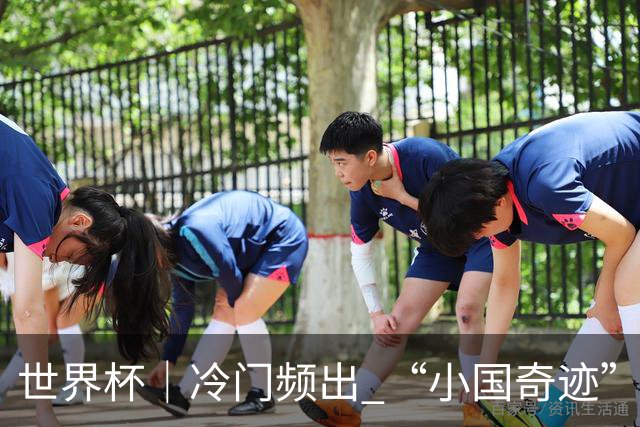 世界杯｜冷门频出 “小国奇迹”——小组赛次轮盘点