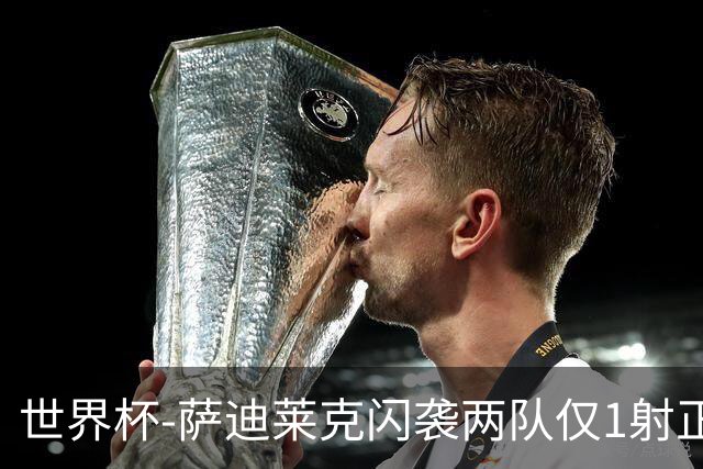 世界杯-萨迪莱克闪袭两队仅1射正 捷克半场暂1-0南非