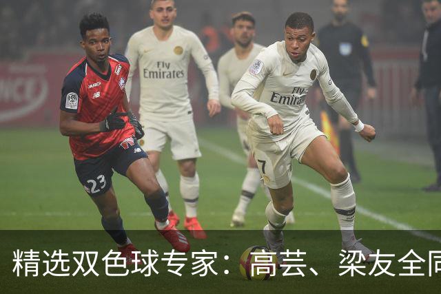 精选双色球专家：高芸、梁友全同中二等279万！